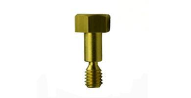 Brass Screw Spare Parts / Accessories