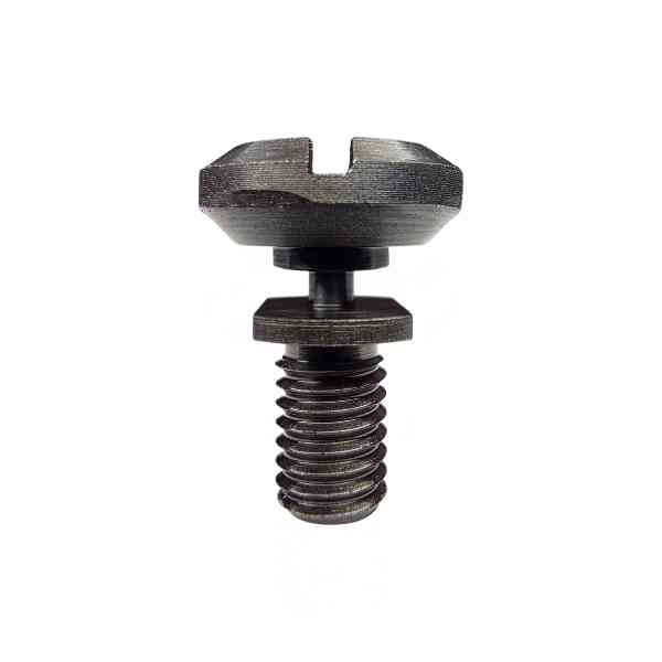Breakaway Screw